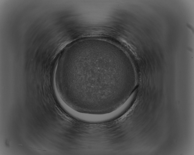 X0000092331449200710051306