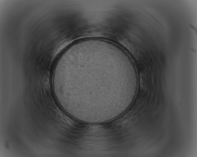 X0000092331452200710051306