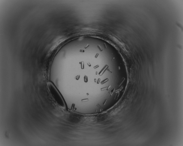 X0000092331453200710051306