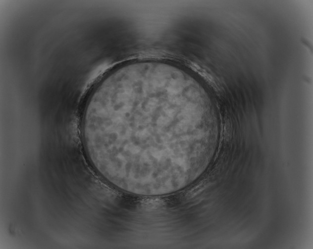 X0000092331454200710051306