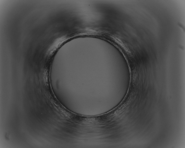 X0000092331455200710051306