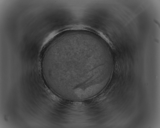 X0000092331456200710051306