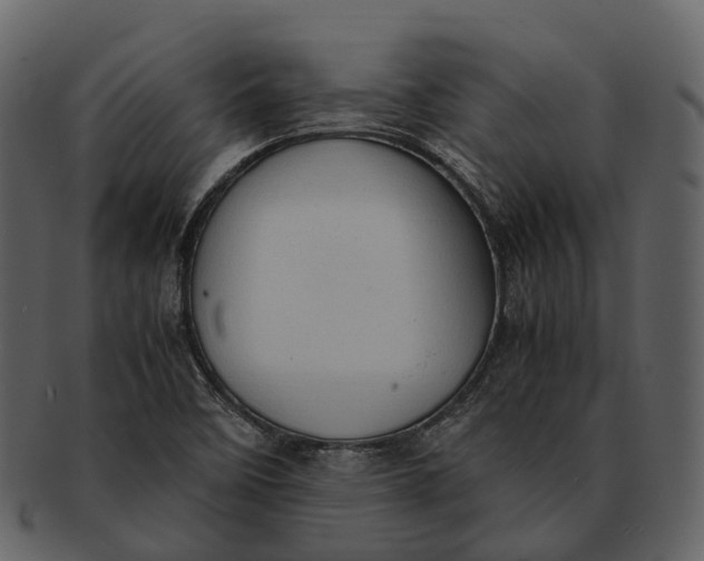 X0000092331458200710051306