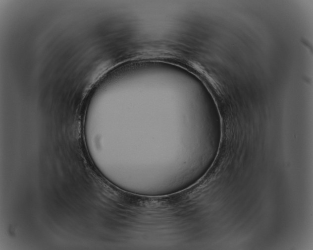 X0000092331459200710051306
