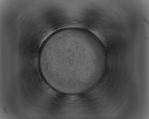 X0000092331460200710051306