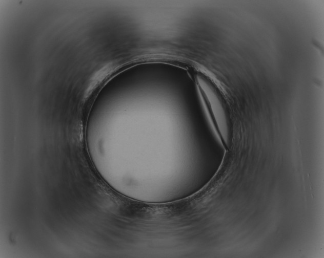 X0000092331461200710051306
