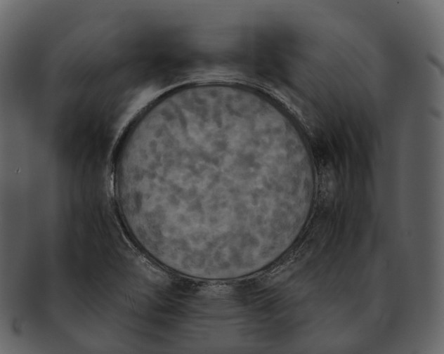 X0000092331462200710051306