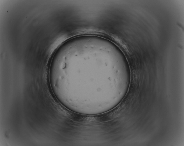 X0000092331463200710051306