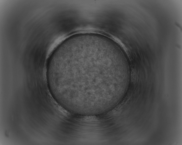 X0000092331464200710051306