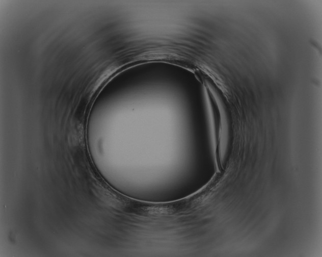 X0000092331465200710051306