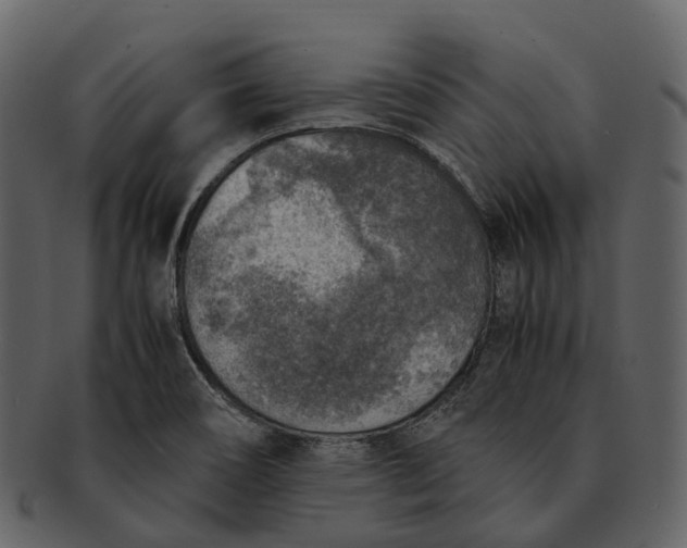 X0000092331466200710051306