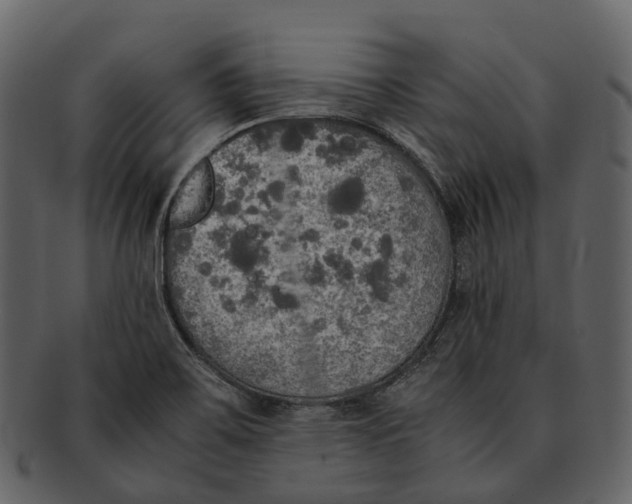 X0000092331467200710051306