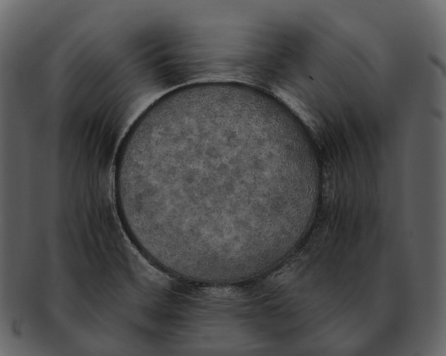 X0000092331468200710051306