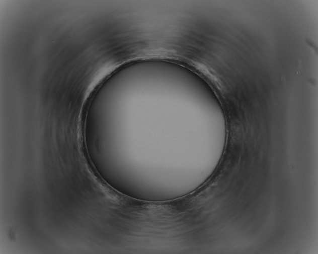 X0000092331469200710051306