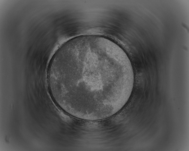 X0000092331470200710051306