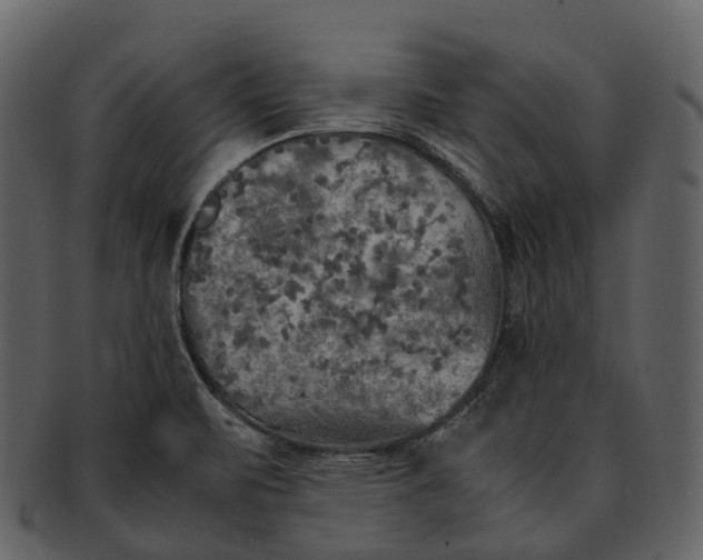 X0000092331471200710051306