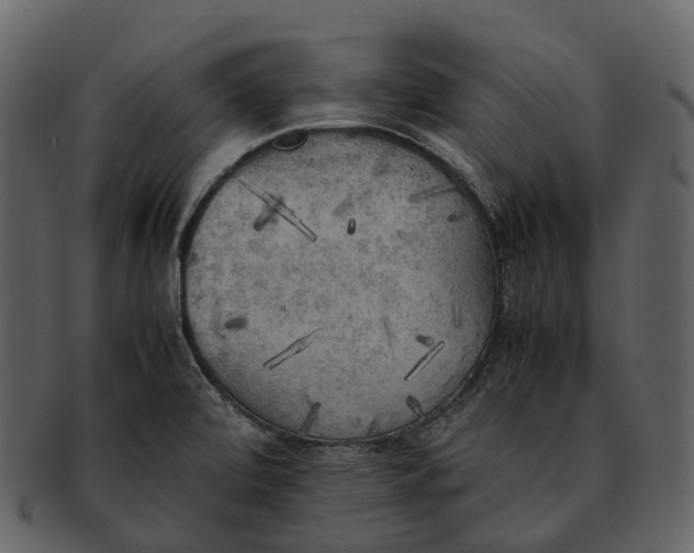 X0000092331472200710051306