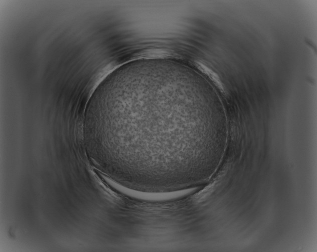 X0000092331473200710051306