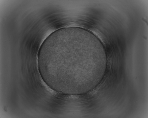 X0000092331476200710051306