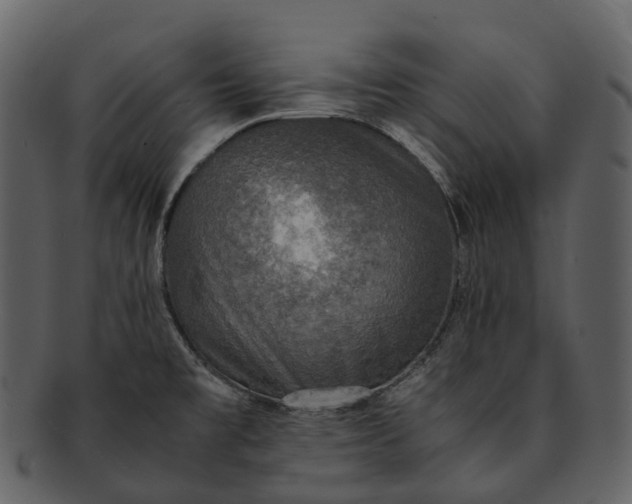 X0000092331477200710051306