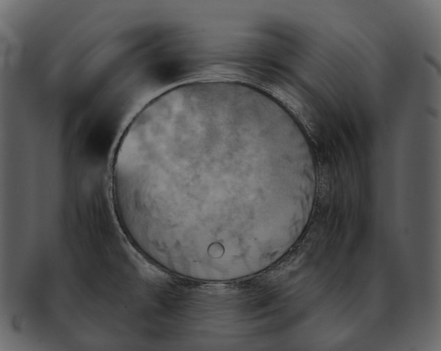X0000092331478200710051306