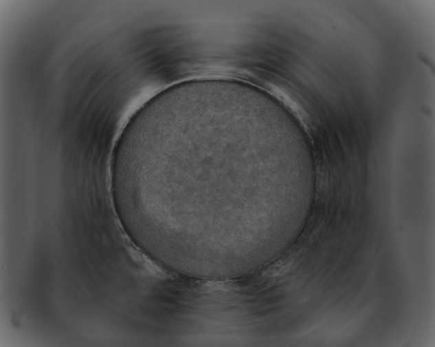 X0000092331480200710051306