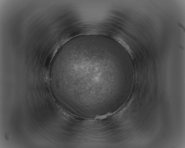 X0000092331481200710051306