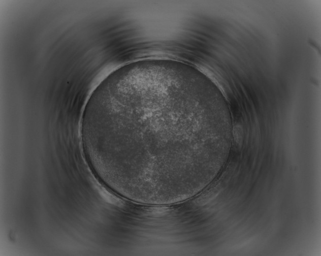 X0000092331482200710051306