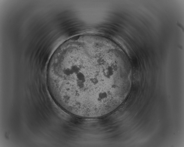 X0000092331483200710051306