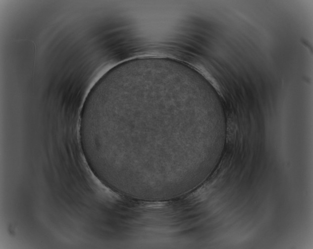 X0000092331484200710051306