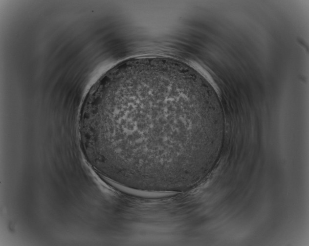 X0000092331485200710051306