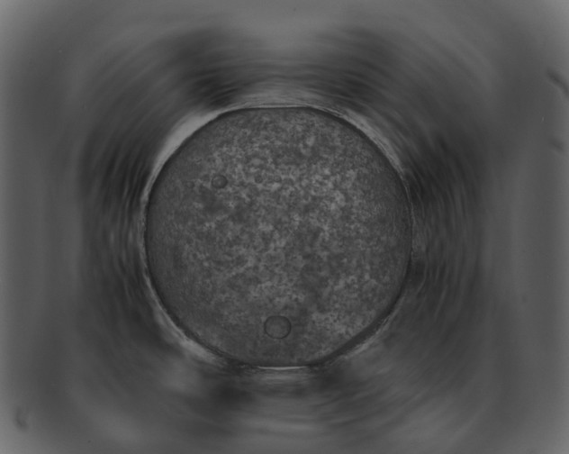 X0000092331486200710051306