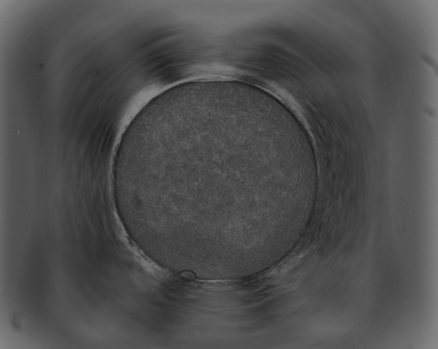 X0000092331488200710051306