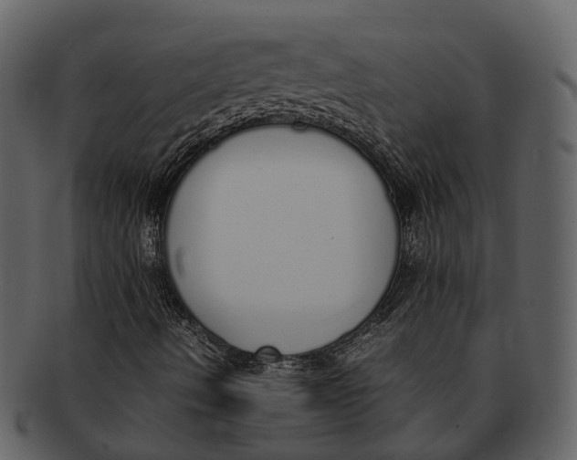 X0000092331490200710051305