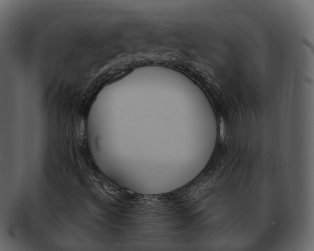 X0000092331492200710051305