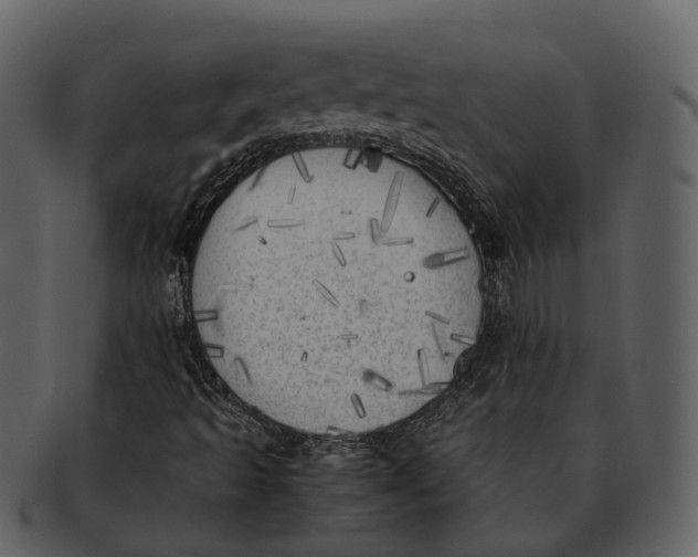 X0000092331493200710051305