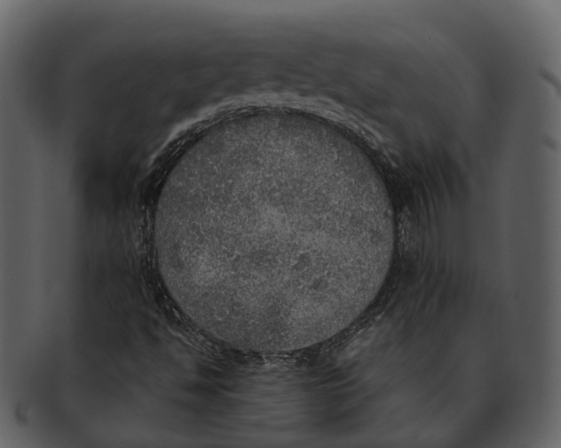 X0000092331494200710051305