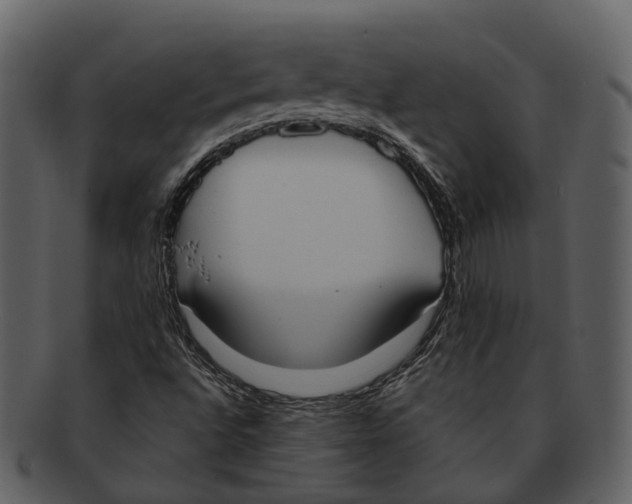 X0000092331496200710051305