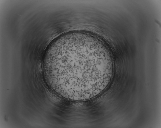 X0000092331497200710051305
