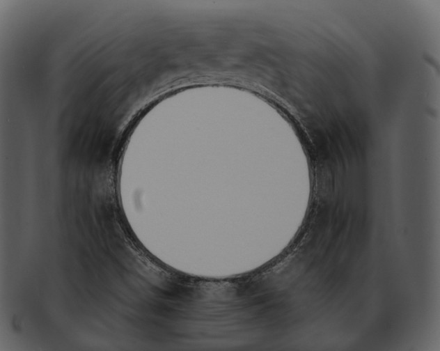 X0000092331498200710051305