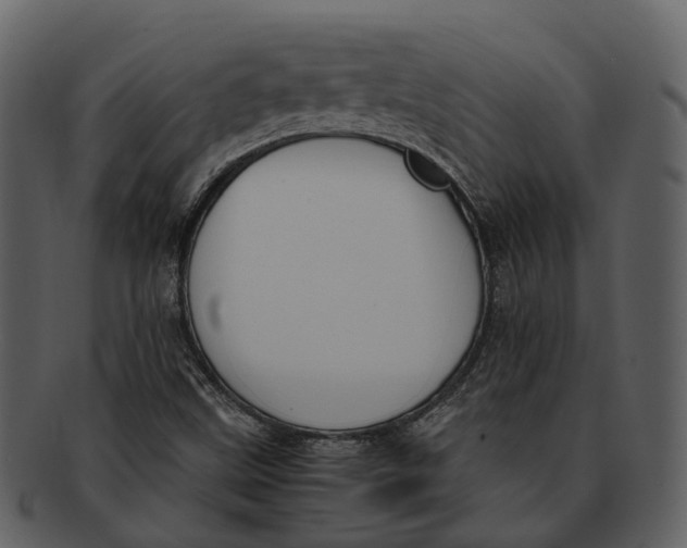 X0000092331499200710051305