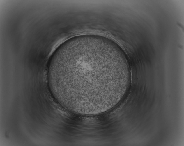 X0000092331501200710051305
