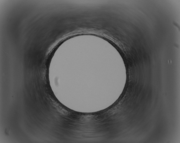 X0000092331502200710051305