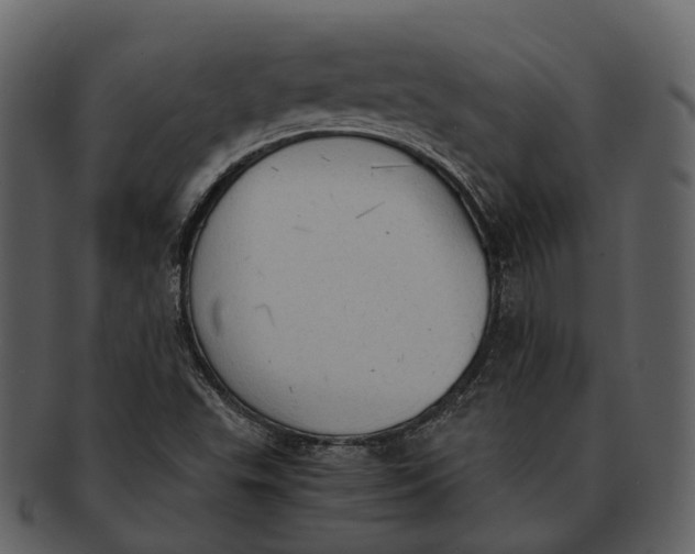 X0000092331503200710051305