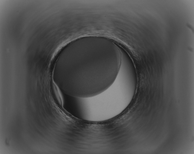 X0000092331506200710051305