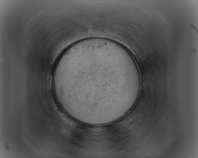 X0000092331507200710051305