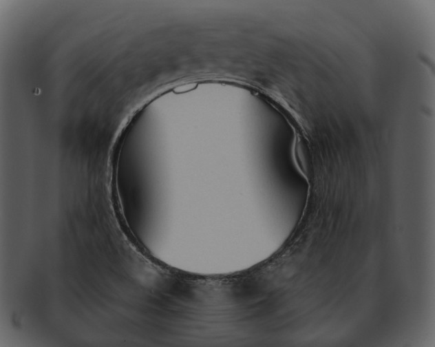 X0000092331508200710051305