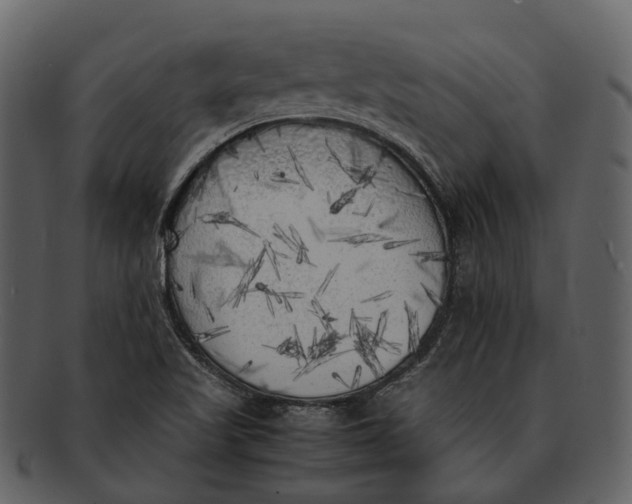 X0000092331509200710051305