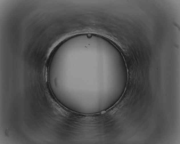 X0000092331510200710051305