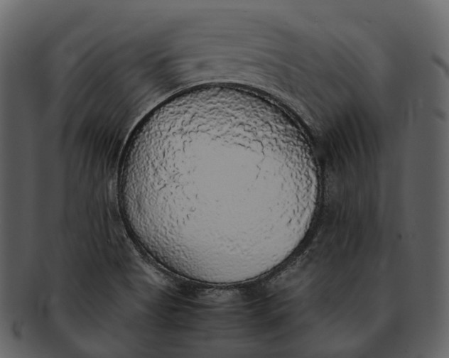 X0000092331513200710051305